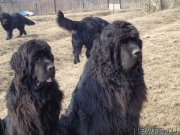 Превью фото № 178034