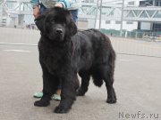 Превью фото № 178063