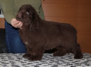 Превью фото № 178065