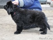 Превью фото № 178083