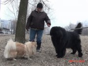 Превью фото № 178088