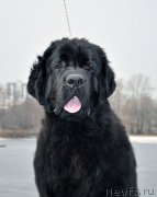 Превью фото № 178103