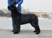 Превью фото № 178104