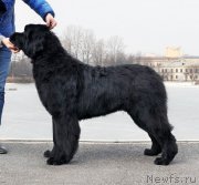 Превью фото № 178105