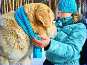 Превью фото № 178134