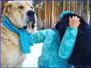 Превью фото № 178135