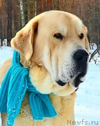 Превью фото № 178137