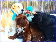 Превью фото № 178144