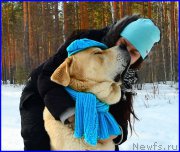 Превью фото № 178146