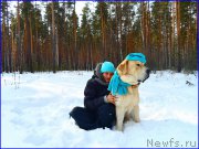 Превью фото № 178149