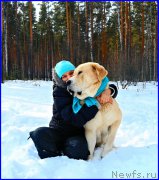 Превью фото № 178150