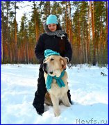 Превью фото № 178152