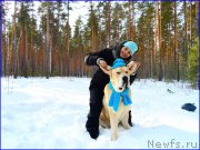 Превью фото № 178154