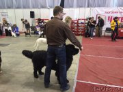 Превью фото № 178159