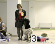 Превью фото № 178214