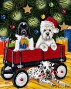 Превью фото № 178221