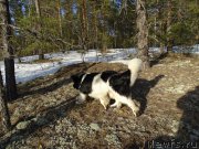 Превью фото № 178239