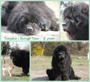 Превью фото № 178341