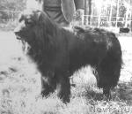 Превью фото № 1784