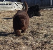 Превью фото № 178482