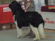 Превью фото № 178491