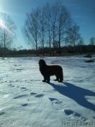 Превью фото № 178497