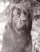 Превью фото № 178503