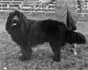 Превью фото № 178505