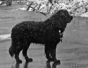 Превью фото № 178517