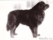 Превью фото № 178523