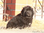 Превью фото № 178557