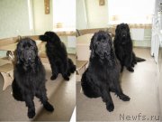 Превью фото № 178591