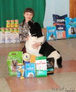 Превью фото № 178604