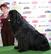 Превью фото № 178613