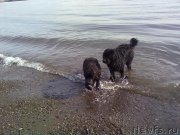 Превью фото № 178624