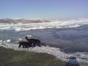 Превью фото № 178629