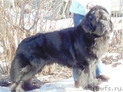 Превью фото № 178657