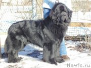 Превью фото № 178660