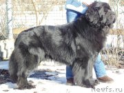 Превью фото № 178662