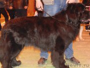 Превью фото № 178670