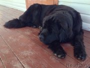 Превью фото № 178724