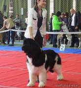 Превью фото № 178809