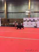 Превью фото № 178819