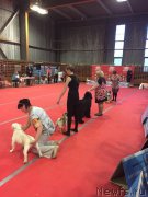 Превью фото № 178821