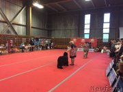 Превью фото № 178822