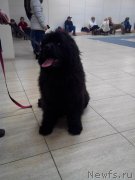 Превью фото № 178852