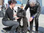 Превью фото № 178854