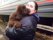 Превью фото № 178936