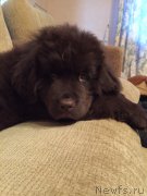 Превью фото № 178978