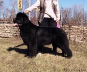 Превью фото № 179090